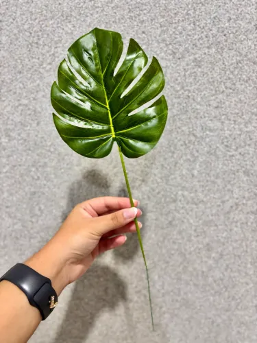 KIT 6 Unidades de Costela de Adão Artificial (Monstera deliciosa)