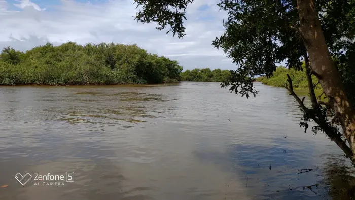 Venda se 12 hectares de terra