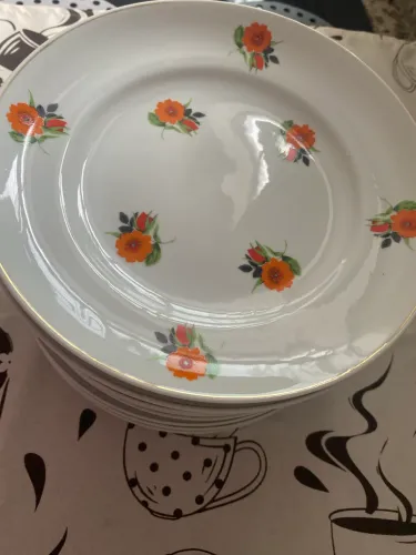 Pratos Rasos Antigos Porcelana Schmidt - Floral Laranja - 12 Unidades