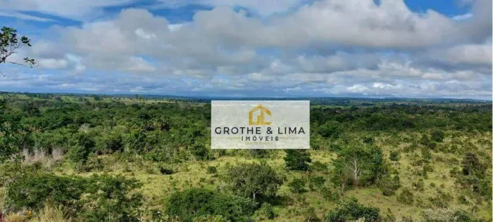 Fazenda à venda, 329 alqueires por R$ 21.385.000 - Wanderlândia/TO