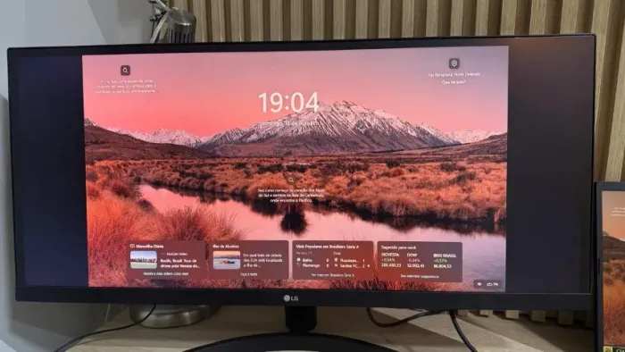 Monitor UltraWide LG 29