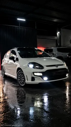Fiat Punto Blackmotion 1.8 Flex 16V 5P. 2014