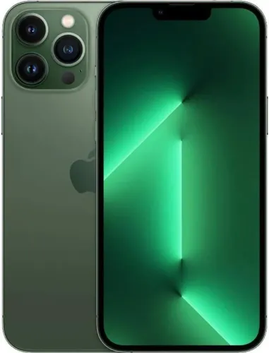 IPhone 13 Pro Max (impecável)