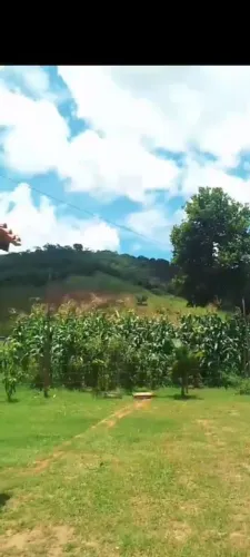 Venda de Chácara Terra Preta 