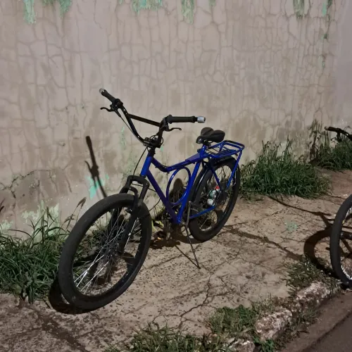 Bicicleta