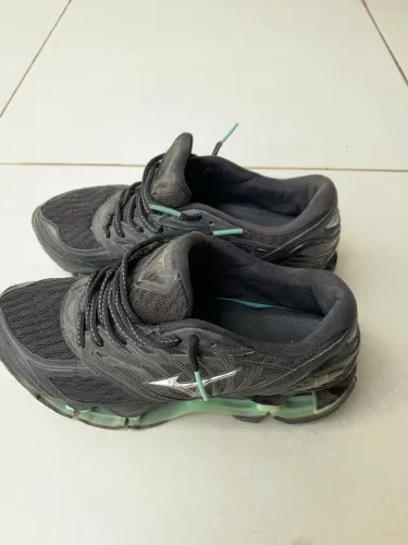 Mizuno prophecy 8