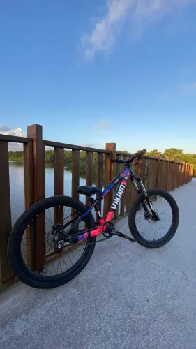 Bike Vking tuff 25