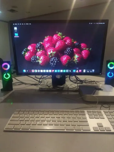 Monitor Dell 24p Vender urgente. Estado perfeito.