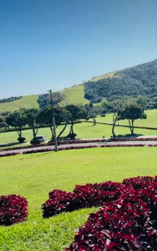 Jazigo Jardim da Saudade Sulacap