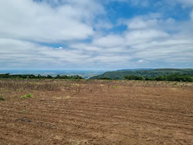 Fazenda 65,81 alq ou 159,26 hectares Região de Torrinhas SP