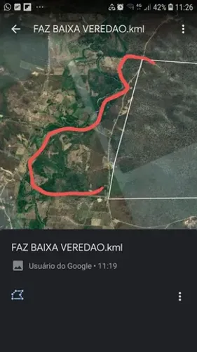 Fazenda Piauí Canavieira Jerumenha Bertolinia 