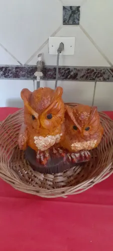 Corujas Para Decoração 