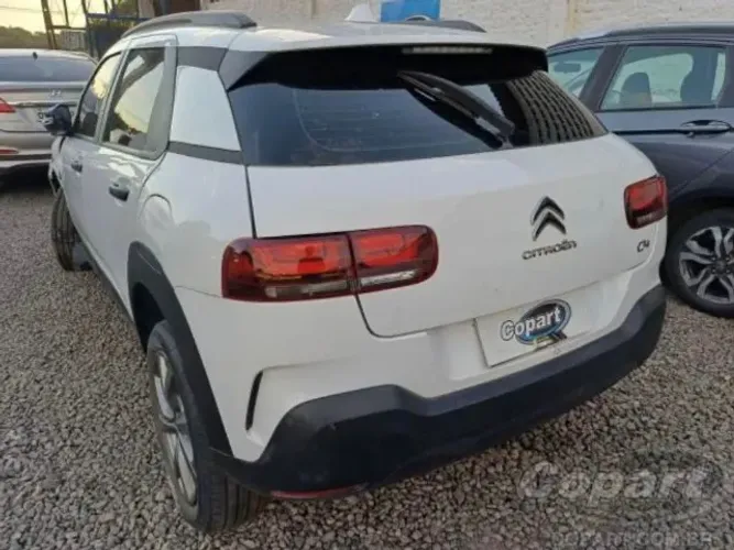 Sucata cactus 2021