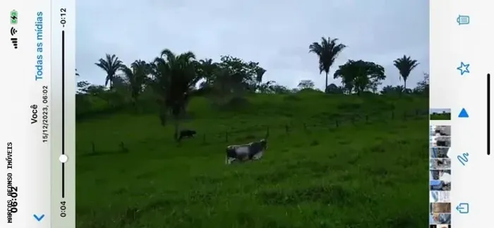 Fazenda em Itarantim - Bahia 