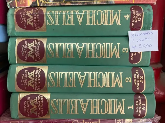 Dicionário livro Michaelis ilustrado 4 volumes 