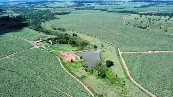 37 alqueirão - Cana - 65 ton