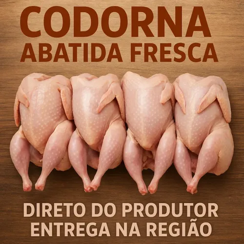 Codornas Abatidas pacote com 10 unidades