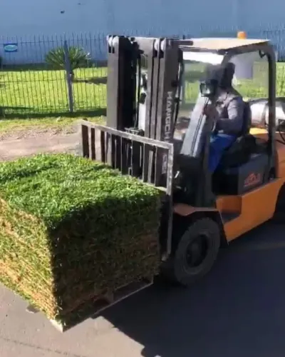 Grama são carlos minimo 100 mts