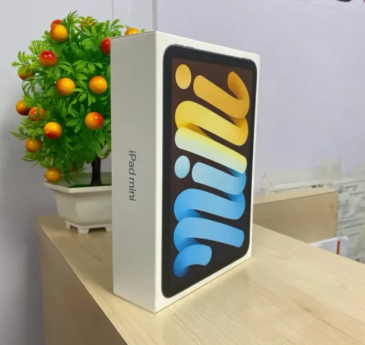 iPad Mini