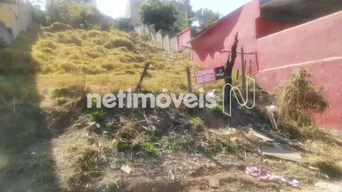 Venda Lote-Área-Terreno Jardim Alvorada (justinópolis) Ribeirão das Neves