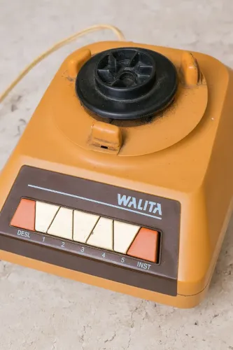 Motor liquidificador walita antigo ( ler a descrição)