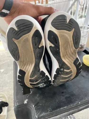 Mizuno goya 