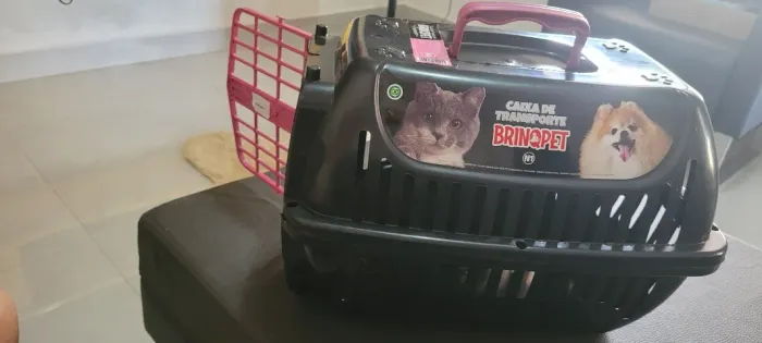 Caixa de transporte Pet