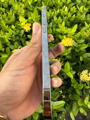 14 Promax 