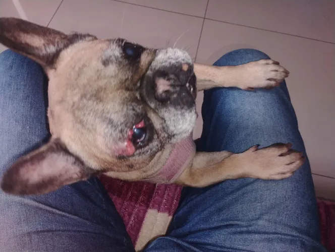 Doação 