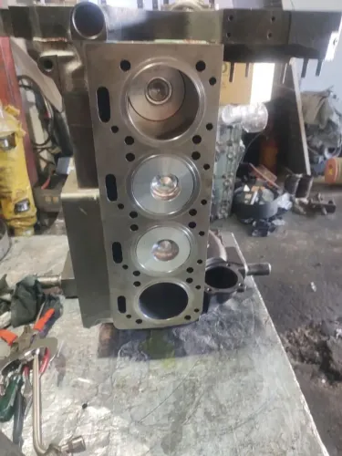 MOTOR MWM X10