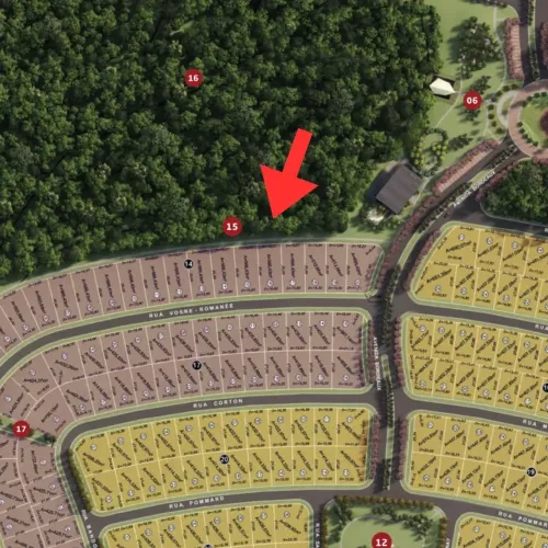 Lote OPORTUNIDADE Jardins França