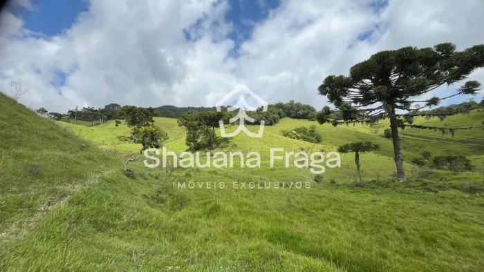 Rancho Queimado/SC - 6 Hectares com Lagoa e Vista em Taquaras