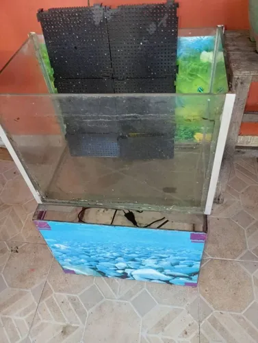 Vendo aquário tamanho médio
