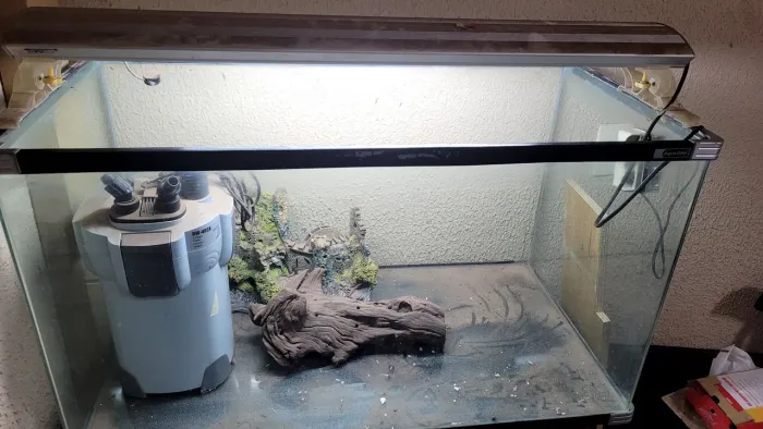 Aquario 