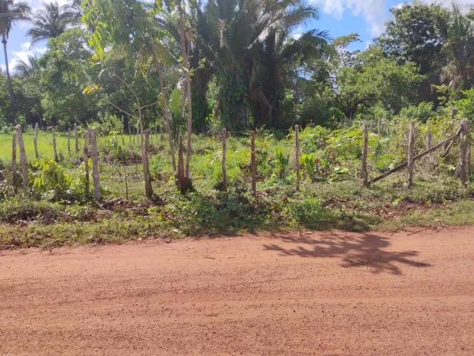 Terreno no interior de Anajatuba (povo. Palmares)