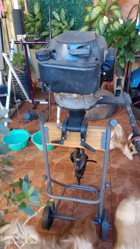 Motor de popa