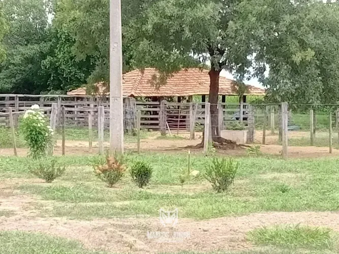 VENDO FAZENDA NA REGIÃO DE CAPITÃO ENEAS NO NORTE DE MINAS COM PLANA, BOM ACESSO E FORMADA