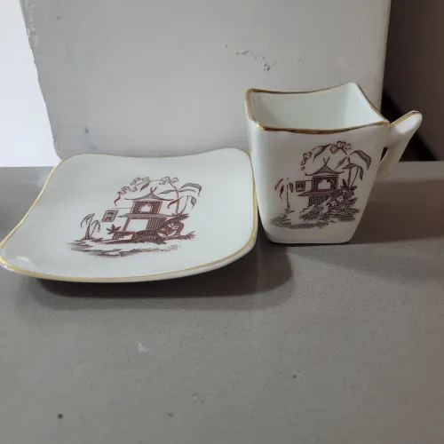 Xícara e Pires porcelana fina marca Condessa