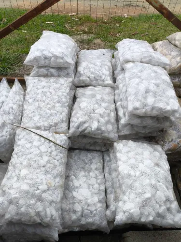 Seixo branco 14 kg
