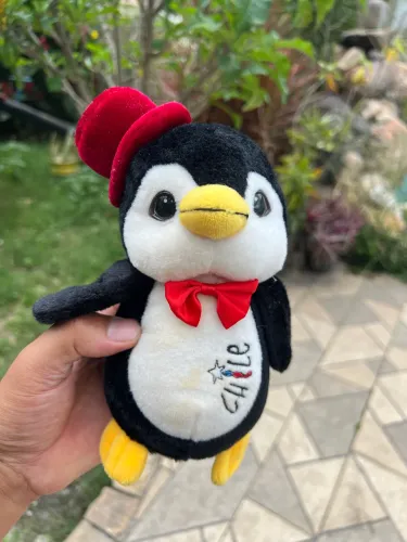 Pelúcia pinguim do Chile