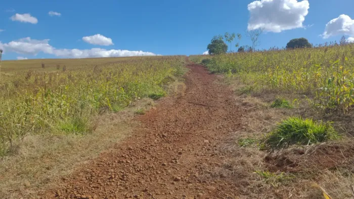 Chácaras/Imóveis Rurais RanchoSítio em São Simão