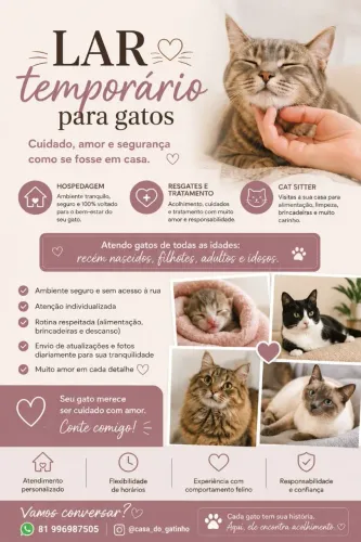 HOSPEDAGEM, lar temporário e cat sitter