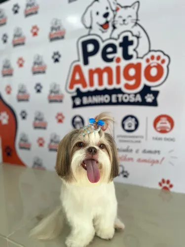 Tosa e banho 