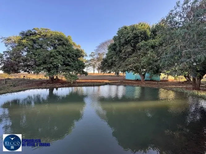 CHÁCARA À VENDA EM ANÁPOLIS-GO | 13 ALQUEIRES | PORTEIRA FECHADA