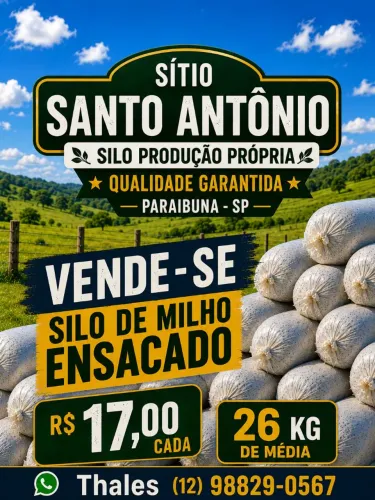 Silagem Ensacada de Milho