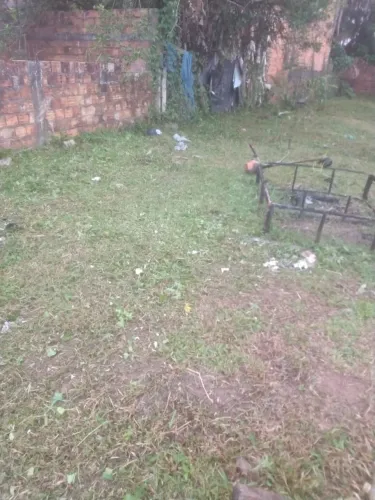Terreno 