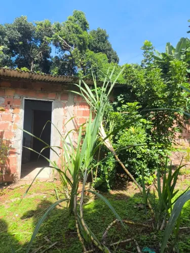 Vendo mini fazenda