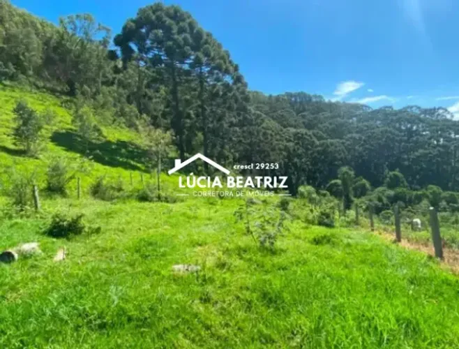 Super Oferta! Chácara com 9.270m², Região da Serra da Mantiqueira, Delfim Moreira/MG