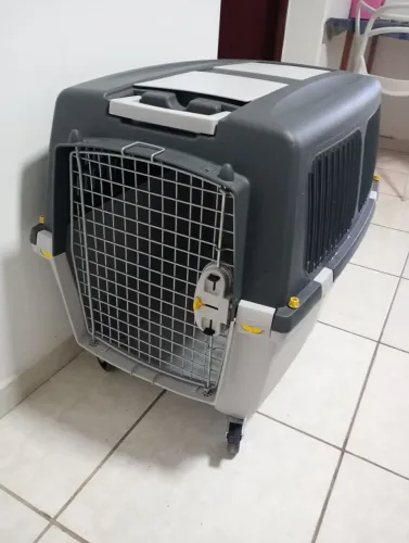 Caixa de Transporte