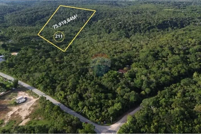 Terreno Comercial em Tarumã: Oportunidade Única!